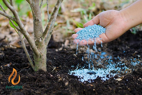 Characteristics of Urea Fertilizer