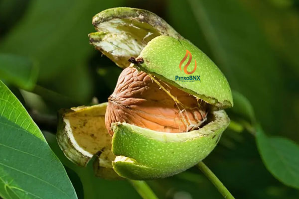 Urea fertilizer for walnut trees Urea