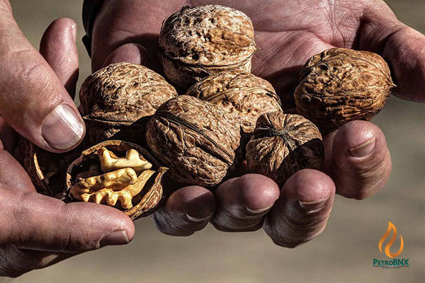 Why Is Urea Fertilizer the Best Choice for Walnut Trees?