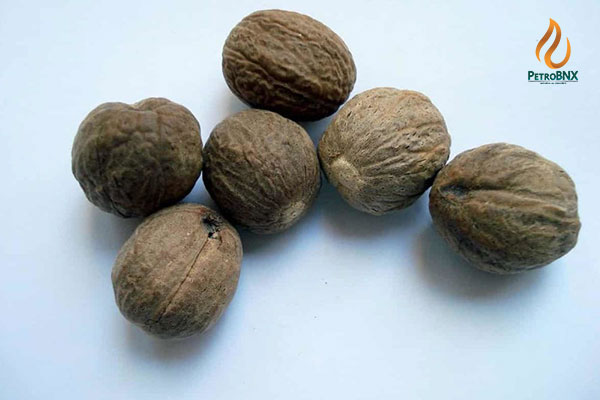 Urea Fertilizer Before Planting Saplings